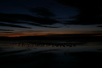 Canon EOS DIGITAL REBEL, 2006:12:27 09:31:32 -- 1 sec, f/5.0.  No Flash.3072x2048 Off.