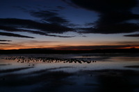 Canon EOS DIGITAL REBEL, 2006:12:27 09:32:09 -- 3 sec, f/5.0.  No Flash.3072x2048 Off.