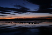 Canon EOS DIGITAL REBEL, 2006:12:27 09:32:59 -- 3 sec, f/8.0.  No Flash.3072x2048 Off.