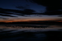 Canon EOS DIGITAL REBEL, 2006:12:27 09:33:34 -- 1 sec, f/8.0.  No Flash.3072x2048 Off.