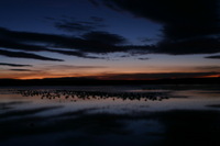 Canon EOS DIGITAL REBEL, 2006:12:27 09:33:38 -- 2 sec, f/8.0.  No Flash.3072x2048 Off.