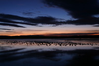 Canon EOS DIGITAL REBEL, 2006:12:27 09:35:50 -- 2 sec, f/8.0.  No Flash.3072x2048 Off.