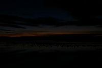 Canon EOS DIGITAL REBEL, 2006:12:27 09:36:23 -- 1 sec, f/8.0.  No Flash.3072x2048 Off.