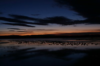 Canon EOS DIGITAL REBEL, 2006:12:27 09:37:34 -- 3 sec, f/16.0.  No Flash.3072x2048 Off.