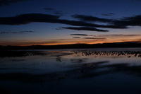 Canon EOS DIGITAL REBEL, 2006:12:27 09:38:00 -- 4 sec, f/16.0.  No Flash.3072x2048 Off.