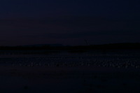 Canon EOS DIGITAL REBEL, 2006:12:27 09:39:44 -- 8 sec, f/16.0.  No Flash.3072x2048 Off.