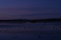 Canon EOS DIGITAL REBEL, 2006:12:27 09:40:15 -- 24 sec, f/16.0.  No Flash.3072x2048 Off.