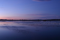 Canon EOS DIGITAL REBEL, 2006:12:27 09:42:05 -- 11 sec, f/16.0.  No Flash.3072x2048 Off.