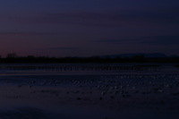 Canon EOS DIGITAL REBEL, 2006:12:27 09:42:27 -- 8 sec, f/16.0.  No Flash.3072x2048 Off.