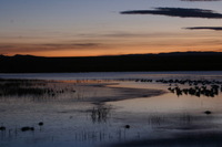 Canon EOS DIGITAL REBEL, 2006:12:27 09:42:40 -- 2 sec, f/16.0.  No Flash.3072x2048 Off.