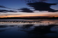 Canon EOS DIGITAL REBEL, 2006:12:27 09:42:58 -- 2 sec, f/16.0.  No Flash.3072x2048 Off.