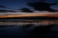 Canon EOS DIGITAL REBEL, 2006:12:27 09:43:07 -- 1 sec, f/16.0.  No Flash.3072x2048 Off.