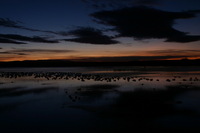 Canon EOS DIGITAL REBEL, 2006:12:27 09:43:14 -- 1 sec, f/16.0.  No Flash.3072x2048 Off.