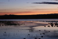 Canon EOS DIGITAL REBEL, 2006:12:27 09:45:24 -- 2 sec, f/16.0.  No Flash.3072x2048 Off.