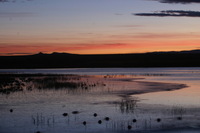 Canon EOS DIGITAL REBEL, 2006:12:27 09:46:46 -- 1 sec, f/16.0.  No Flash.3072x2048 Off.