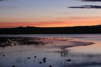 Canon EOS DIGITAL REBEL, 2006:12:27 09:47:02 -- 1 sec, f/16.0.  No Flash.3072x2048 Off.