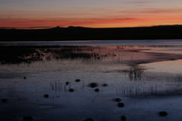 Canon EOS DIGITAL REBEL, 2006:12:27 09:47:14 -- 1 sec, f/16.0.  No Flash.3072x2048 Off.