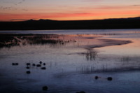 Canon EOS DIGITAL REBEL, 2006:12:27 09:47:35 -- 1 sec, f/5.6.  No Flash.3072x2048 Off.