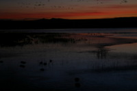 Canon EOS DIGITAL REBEL, 2006:12:27 09:47:53 -- 1/15 sec, f/5.6.  No Flash.3072x2048 Off.