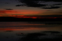 Canon EOS DIGITAL REBEL, 2006:12:27 09:51:49 -- 1/80 sec, f/5.0.  No Flash.3072x2048 Off.