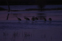 Canon EOS DIGITAL REBEL, 2006:12:27 09:58:02 -- 1/8 sec, f/5.6.  No Flash.3072x2048 Off.