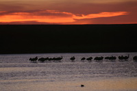 Canon EOS DIGITAL REBEL, 2006:12:27 09:58:35 -- 1/40 sec, f/5.6.  No Flash.3072x2048 Off.