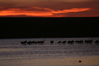 Canon EOS DIGITAL REBEL, 2006:12:27 09:58:43 -- 1/60 sec, f/5.6.  No Flash.3072x2048 Off.