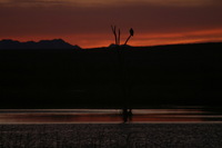 Canon EOS DIGITAL REBEL, 2006:12:27 10:00:26 -- 1/60 sec, f/5.6.  No Flash.3072x2048 Off.