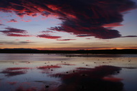 Canon EOS DIGITAL REBEL, 2006:12:27 10:01:18 -- 1/60 sec, f/5.6.  No Flash.3072x2048 Off.