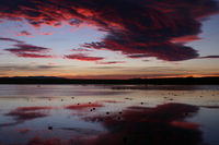 Canon EOS DIGITAL REBEL, 2006:12:27 10:01:48 -- 1/15 sec, f/11.0.  No Flash.3072x2048 Off.