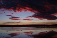 Canon EOS DIGITAL REBEL, 2006:12:27 10:02:10 -- 1/125 sec, f/4.5.  No Flash.3072x2048 Off.