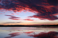 Canon EOS DIGITAL REBEL, 2006:12:27 10:02:42 -- 1/60 sec, f/4.5.  No Flash.3072x2048 Off.