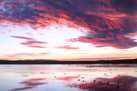 Canon EOS DIGITAL REBEL, 2006:12:27 10:02:49 -- 1/30 sec, f/4.5.  No Flash.3072x2048 Off.