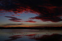 Canon EOS DIGITAL REBEL, 2006:12:27 10:02:59 -- 1/250 sec, f/4.5.  No Flash.3072x2048 Off.