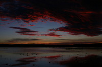 Canon EOS DIGITAL REBEL, 2006:12:27 10:03:21 -- 1/80 sec, f/9.0.  No Flash.3072x2048 Off.