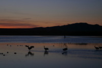 Canon EOS DIGITAL REBEL, 2006:12:27 10:05:36 -- 1/80 sec, f/5.6.  No Flash.3072x2048 Off.