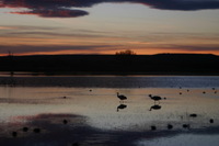 Canon EOS DIGITAL REBEL, 2006:12:27 10:06:40 -- 1/80 sec, f/5.6.  No Flash.3072x2048 Off.