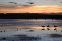 Canon EOS DIGITAL REBEL, 2006:12:27 10:06:48 -- 1/80 sec, f/5.6.  No Flash.3072x2048 Off.