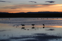 Canon EOS DIGITAL REBEL, 2006:12:27 10:07:07 -- 1/80 sec, f/5.6.  No Flash.3072x2048 Off.