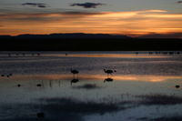 Canon EOS DIGITAL REBEL, 2006:12:27 10:07:34 -- 1/160 sec, f/5.6.  No Flash.3072x2048 Off.