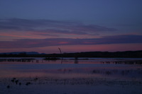 Canon EOS DIGITAL REBEL, 2006:12:27 10:08:07 -- 1/60 sec, f/5.0.  No Flash.3072x2048 Off.