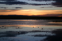 Canon EOS DIGITAL REBEL, 2006:12:27 10:08:30 -- 1/200 sec, f/5.0.  No Flash.3072x2048 Off.