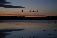 Canon EOS DIGITAL REBEL, 2006:12:27 10:08:44 -- 1/200 sec, f/5.0.  No Flash.3072x2048 Off.