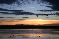 Canon EOS DIGITAL REBEL, 2006:12:27 10:08:47 -- 1/200 sec, f/5.0.  No Flash.3072x2048 Off.