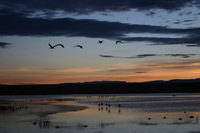 Canon EOS DIGITAL REBEL, 2006:12:27 10:08:49 -- 1/200 sec, f/5.0.  No Flash.3072x2048 Off.