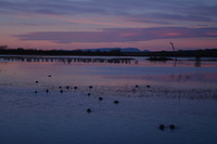 Canon EOS DIGITAL REBEL, 2006:12:27 10:09:13 -- 1/50 sec, f/5.0.  No Flash.3072x2048 Off.