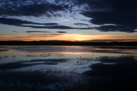 Canon EOS DIGITAL REBEL, 2006:12:27 10:10:18 -- 1/400 sec, f/3.5.  No Flash.3072x2048 Off.