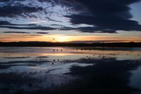 Canon EOS DIGITAL REBEL, 2006:12:27 10:12:02 -- 1/400 sec, f/3.5.  No Flash.3072x2048 Off.