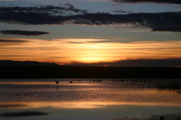 Canon EOS DIGITAL REBEL, 2006:12:27 10:13:42 -- 1/400 sec, f/5.6.  No Flash.3072x2048 Off.