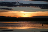 Canon EOS DIGITAL REBEL, 2006:12:27 10:14:21 -- 1/400 sec, f/5.6.  No Flash.3072x2048 Off.